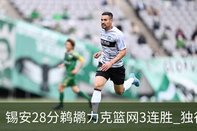 锡安28分鹈鹕力克篮网3连胜 独行侠险胜马刺